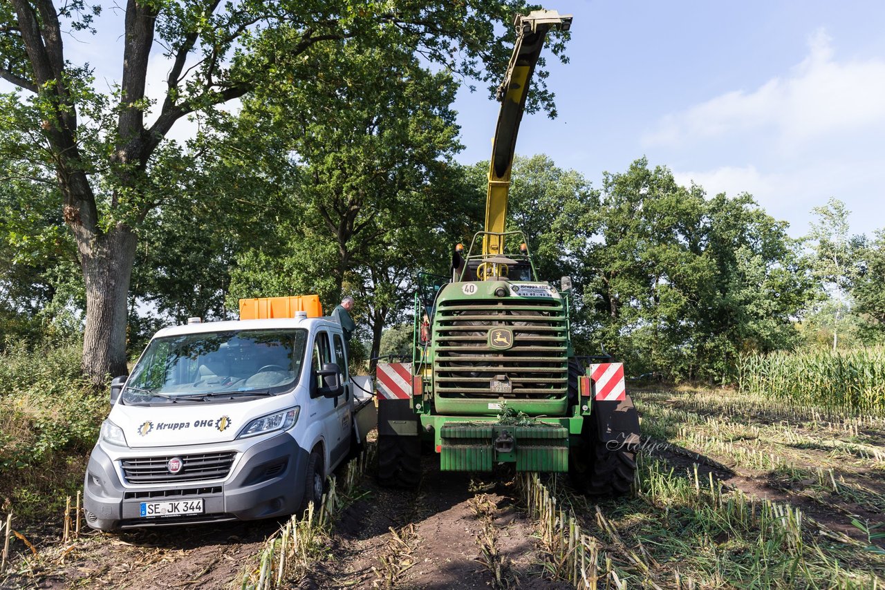 Bild 240 - Maisernte